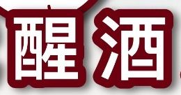 傻人有傻福3